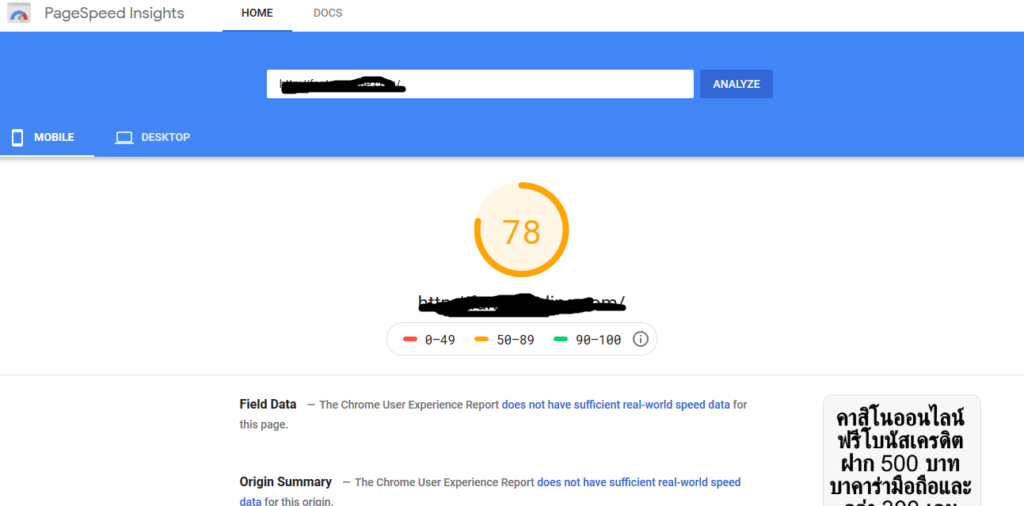 my fanta site page speed insight result 2